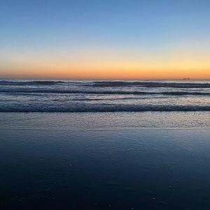 Meet your Posher, Jasmin